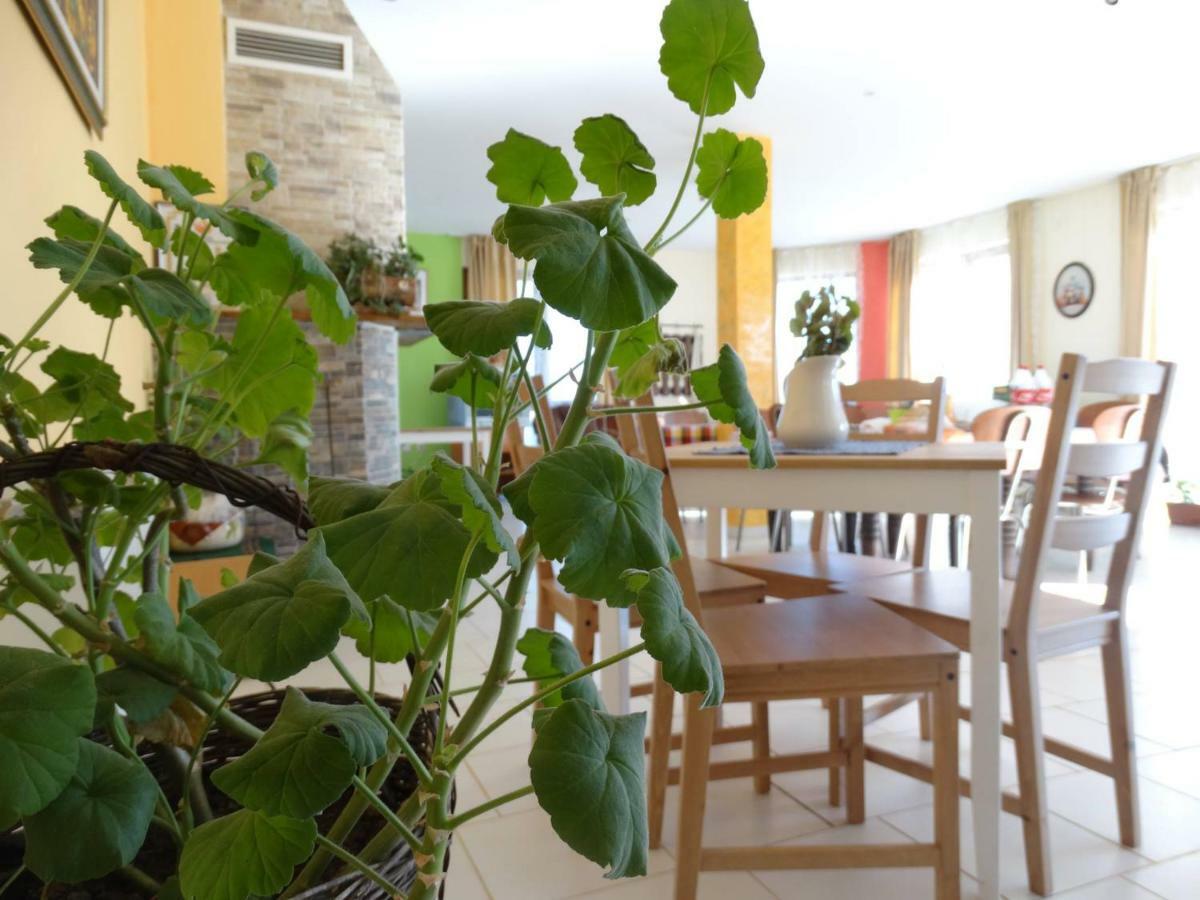 Guest House Misha Petrevene 외부 사진